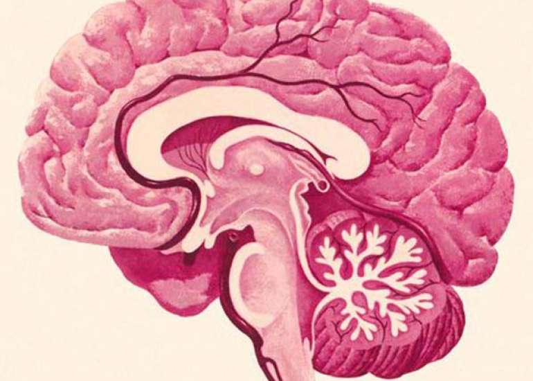 What are the new treatment modalities in dementia?