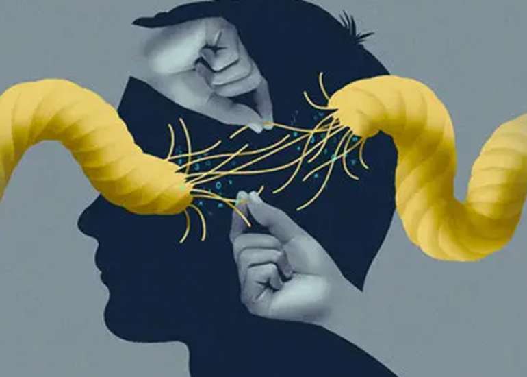 What are the new treatment modalities in dementia?