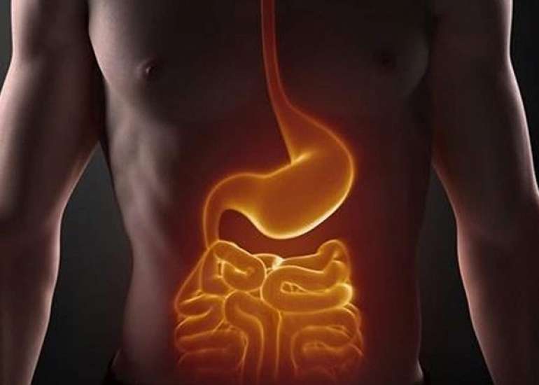 पाचन तंत्र से जुड़े विकारों के बारे में जाने | Digestive System in Hindi