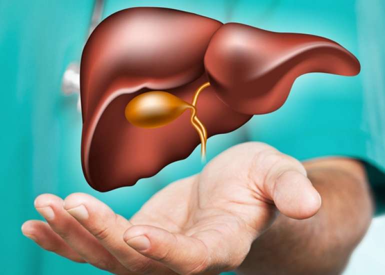 Detoxification and Metabolism: How the Liver Processes Toxins