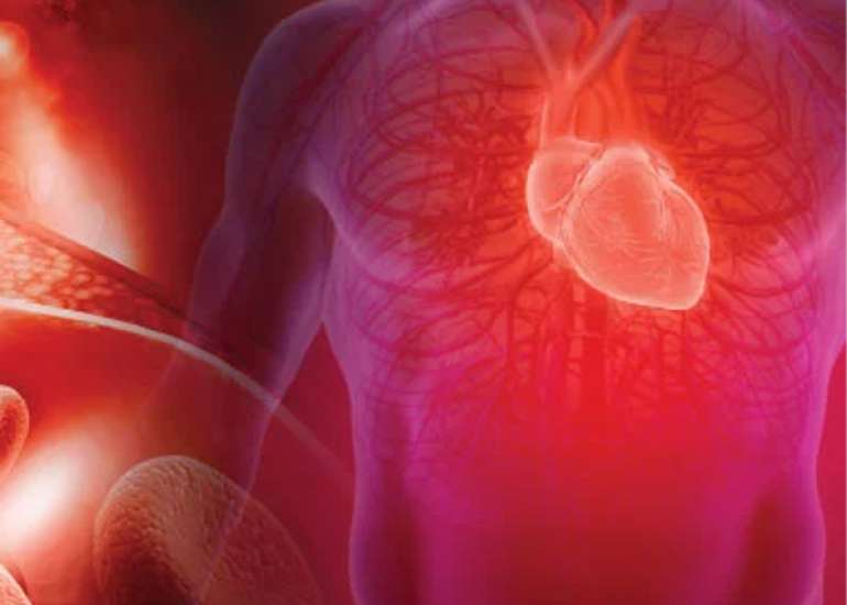 How should we check for arterial elasticity and stiffness?