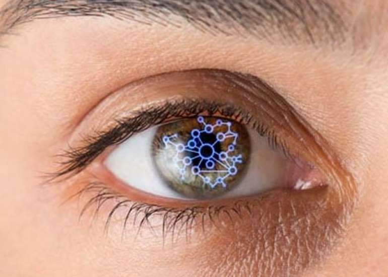 रेटिना रोग क्या है? प्रकार, लक्षण और इलाज | Retina in Hindi