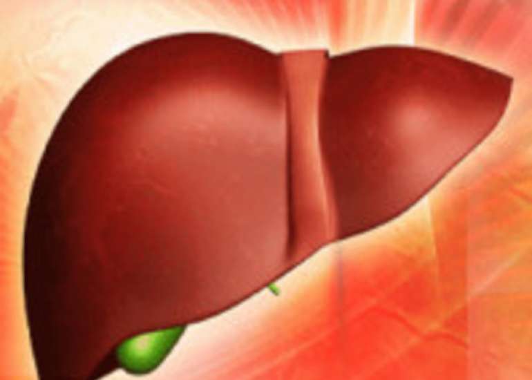 Liver Health in Menarche & Effect of Hormones
