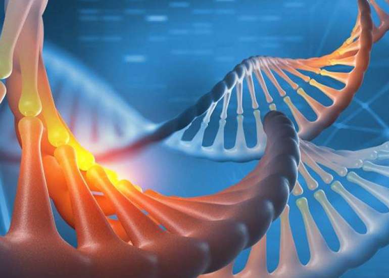 What is the role of genomics in breast cancer?