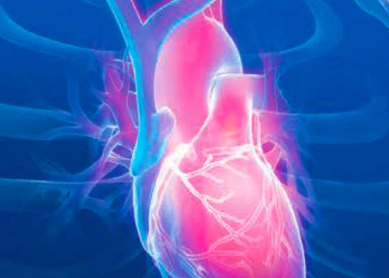 Should bypass surgery be done in low ejection fraction?