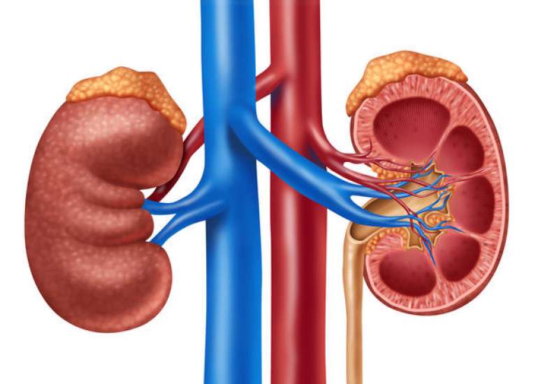 Can bypass be done along with renal artery stenosis?