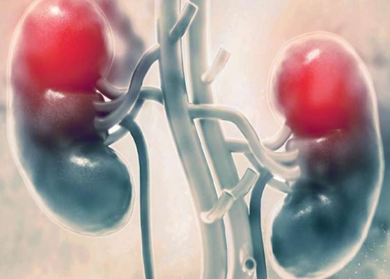 How long does a patient live on Dialysis?