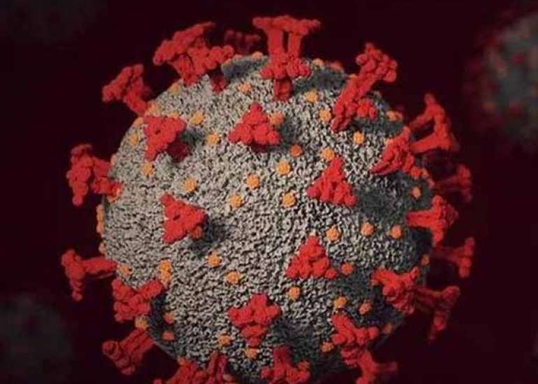 फ्रांस में खोजा गया 'IHU' नाम का नया कोरोना वेरिएंट