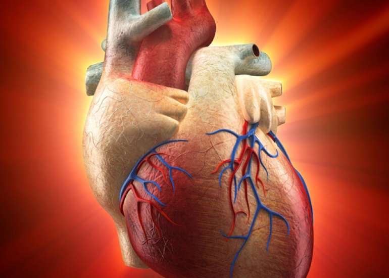 दिल की सूजन क्या है? कारण, लक्षण और इलाज | Heart Inflammation in Hindi