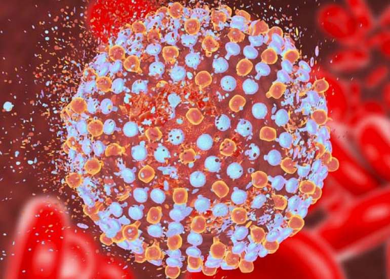 Hepatitis C: Advances in Treatment and Cure