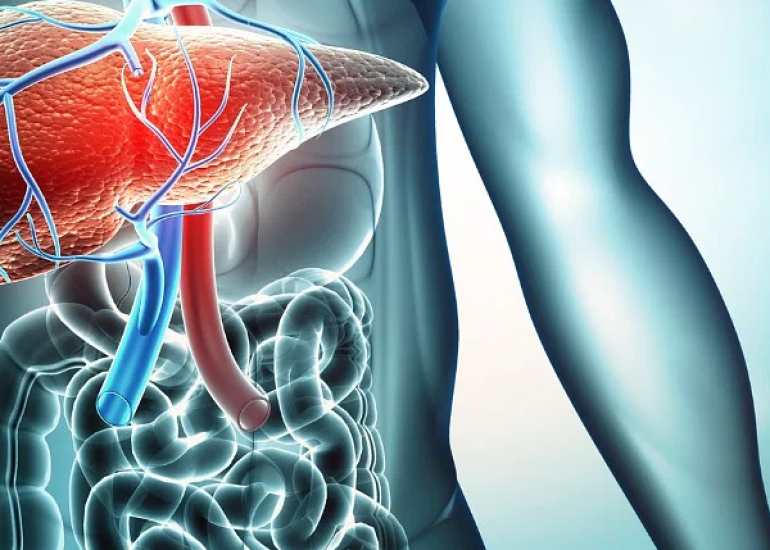 वंशानुगत लीवर रोगों के लिए आनुवंशिक परीक्षण: निदान से जोखिम मूल्यांकन तक