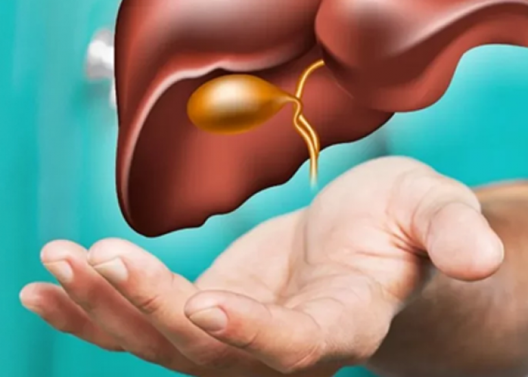 उच्च एसजीओटी और एसजीपीटी स्तर: कारण, निदान और उपचार के विकल्प