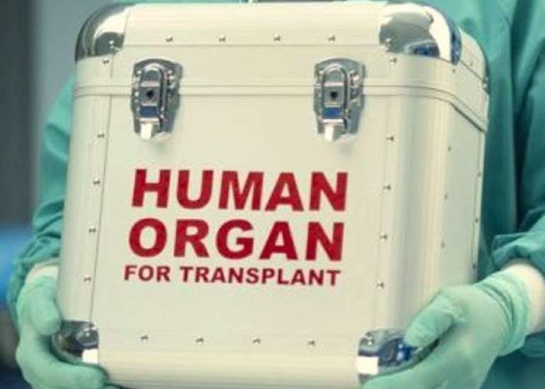 भारत में अंग दान और प्रत्यारोपण | Organ Donation 