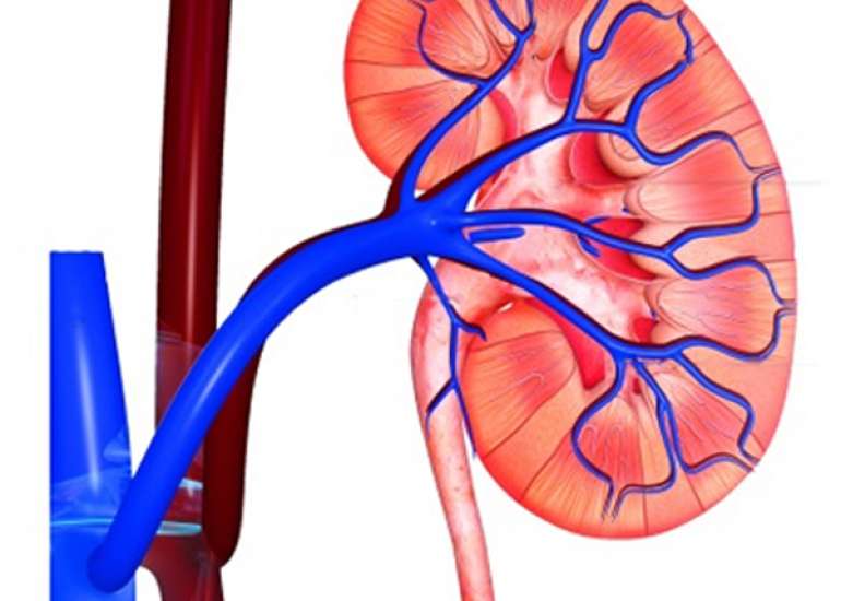 I have diabetes How often should I get renal function test done?