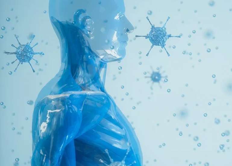 Immunodeficiency Diseases: What You Need To Know