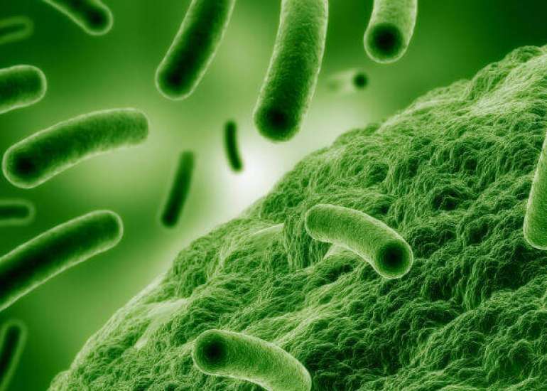 What is the impact of AMR?