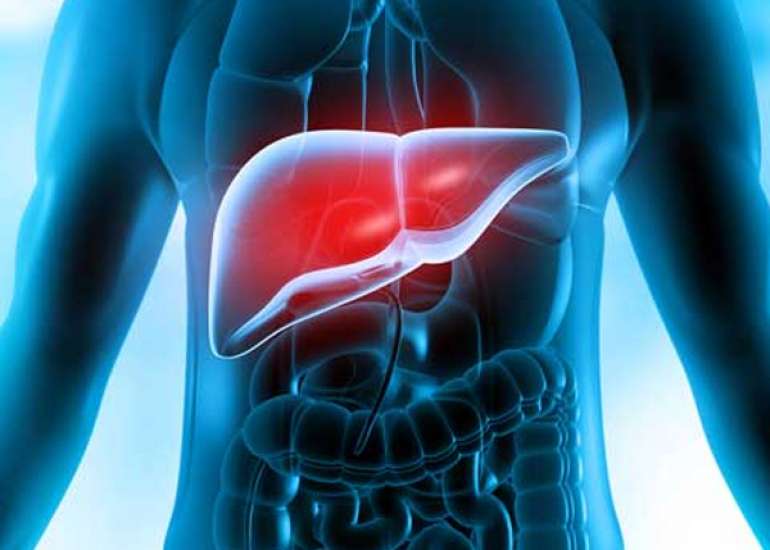 Managing Liver Disorders in The Geriatric Patients