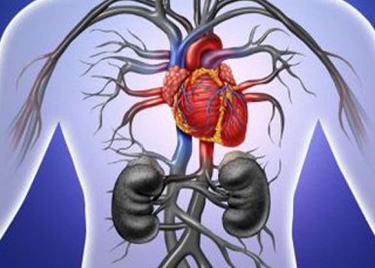 एओर्टिक डायसेक्शन के लक्षण, कारण, इलाज, दवा, उपचार और निदान | Aortic Dissection in Hindi