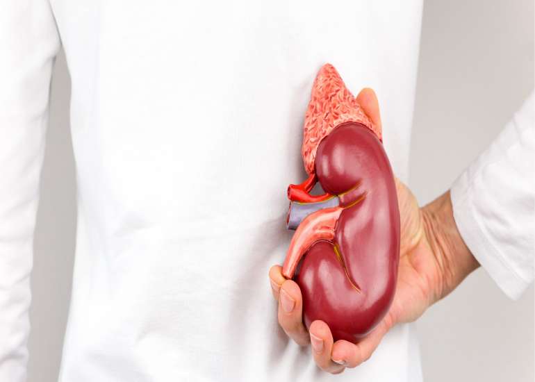 मैं गुर्दे की बीमारी का मरीज हूँ? क्या मैं सेक्स कर सकता हूँ?