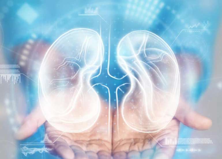 किडनी ट्रांसप्लांट क्या है? | Kidney Transplant in Hindi