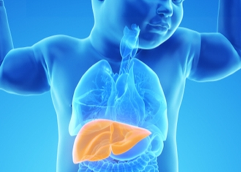 Liver Disease in Children: Prevalence and Risk Factors