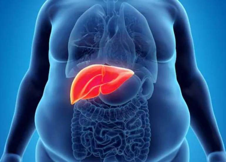 भारत में लिवर विकार: व्यापकता को समझना