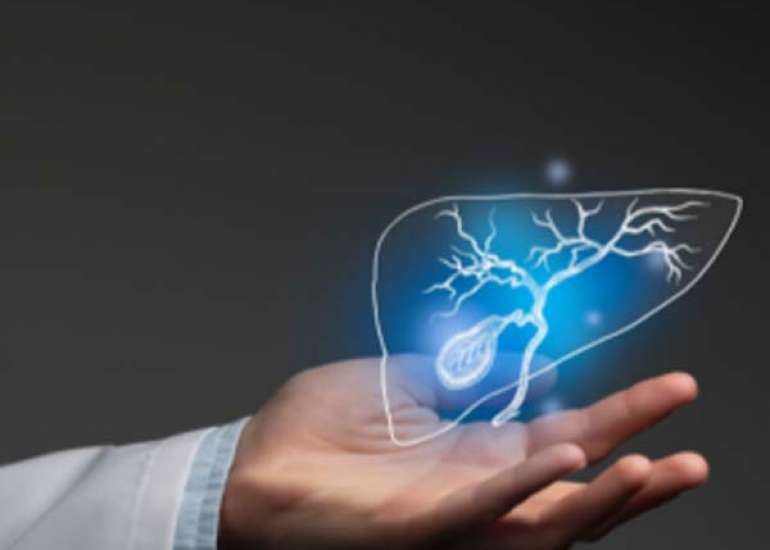 Aging and Liver Health