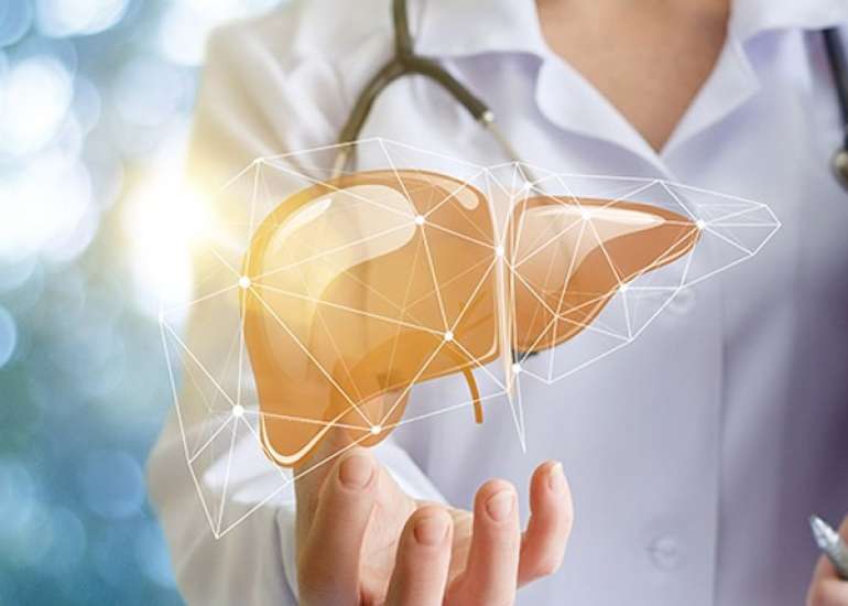 Liver Health and Exercise: Physical Activity and its Impact on Liver Function