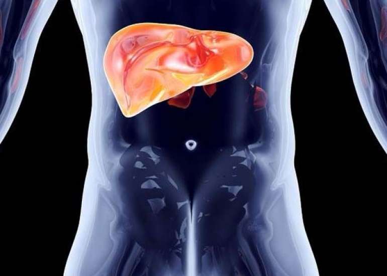 Liver Inflammation: Causes, Complications and Treatment Approaches