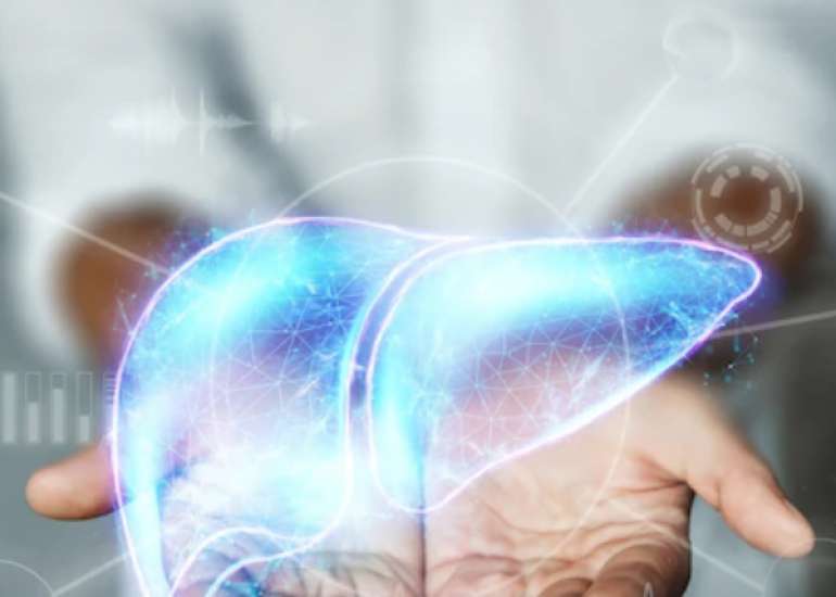 लीवर सिस्ट क्या हैं? कारण, लक्षण और इलाज | Liver Cysts in Hindi