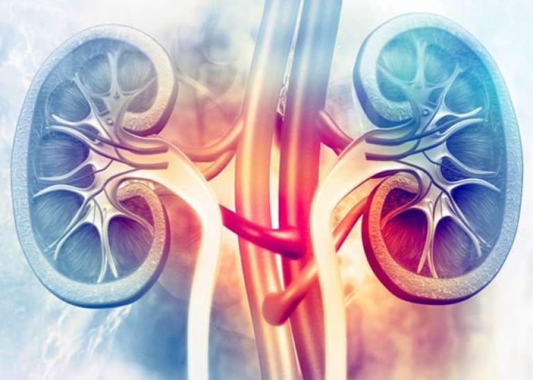 If the patients GFR is less than 30 How should we manage?