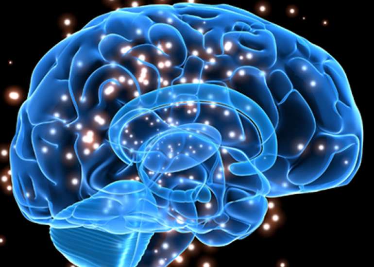 What are the new treatment modalities in mild cognitive impairment?