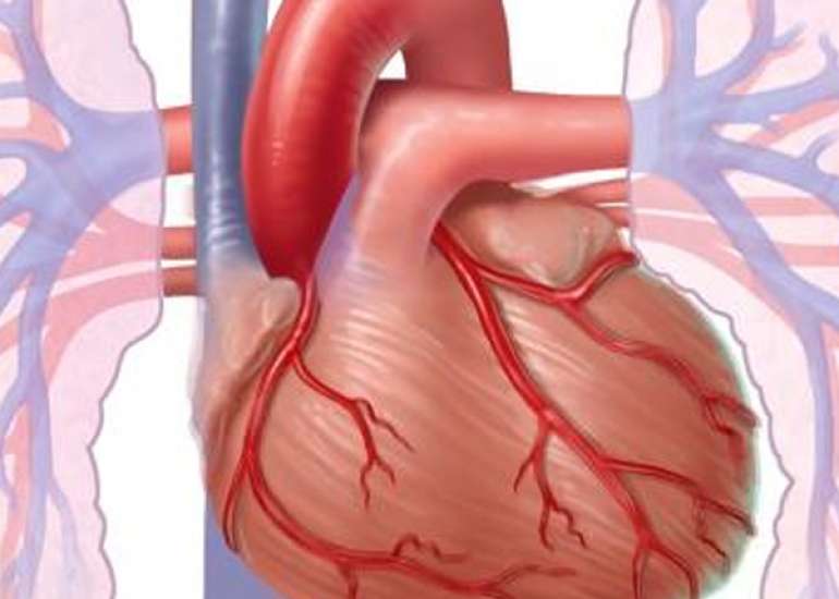 What is the management of tachycardia?