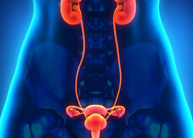 न्यूरोजेनिक मूत्राशय क्या है? कारण, लक्षण और इलाज | Neurogenic Bladder in Hindi