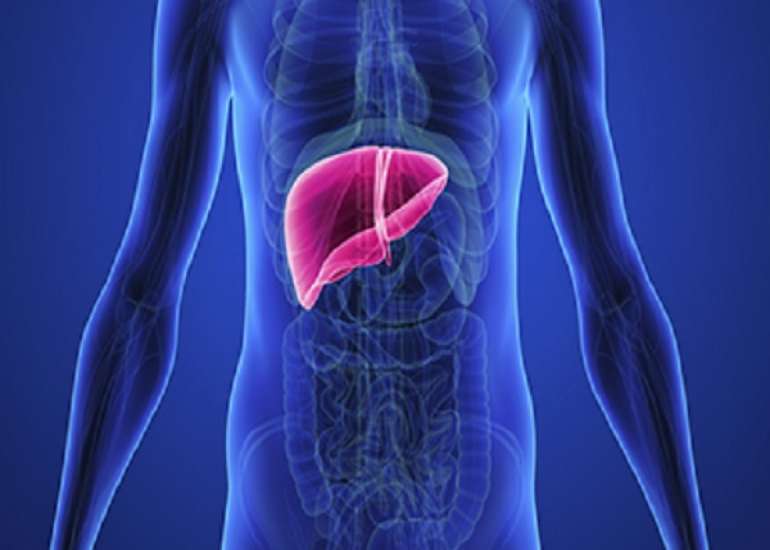 Prevalence and Risk Factors for Alcoholic Liver Diseases