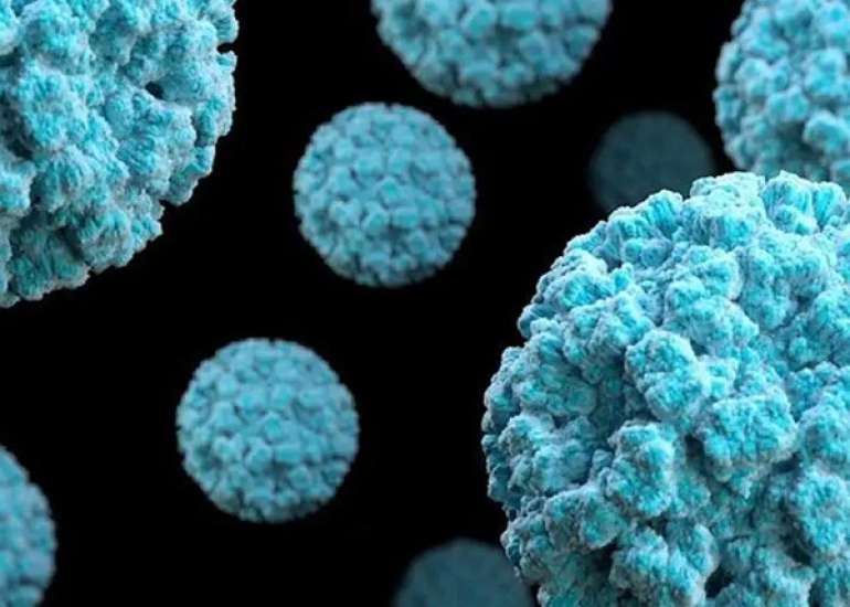 क्या है नोरोवायरस? कारण, लक्षण और इलाज | Norovirus in Hindi