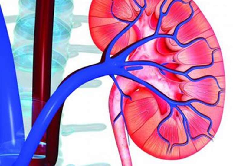 Can CKD patients be given calcium?