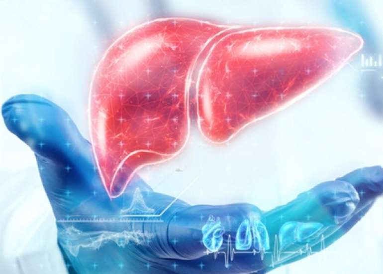 लीवर का स्वास्थ्य और व्यायाम: शारीरिक गतिविधि और लीवर के कार्य पर इसका प्रभाव