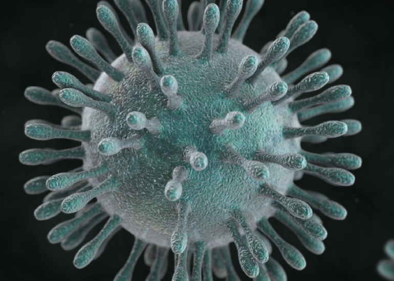 कोरोना वायरस बनी महामारी, जानें क्या होती है महामारी ?