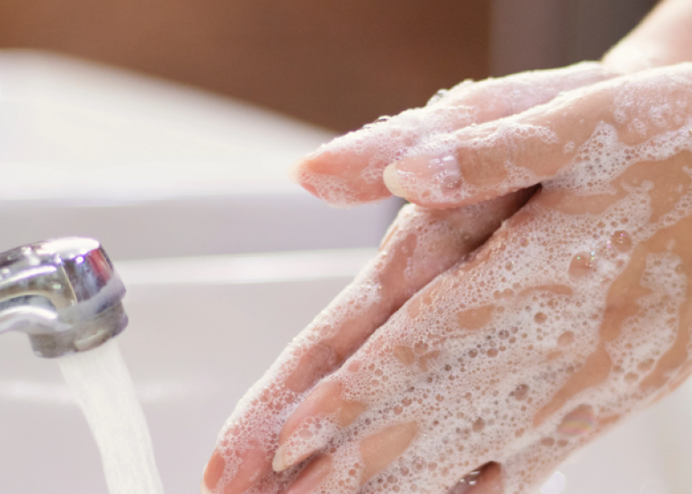 Preventing the Spread of Infection: The Importance of Hand Hygiene