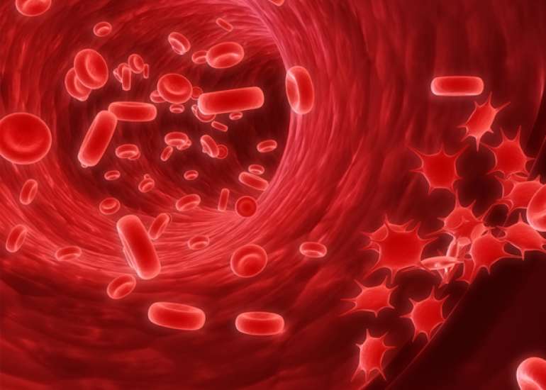 How reliable are platelets counts?