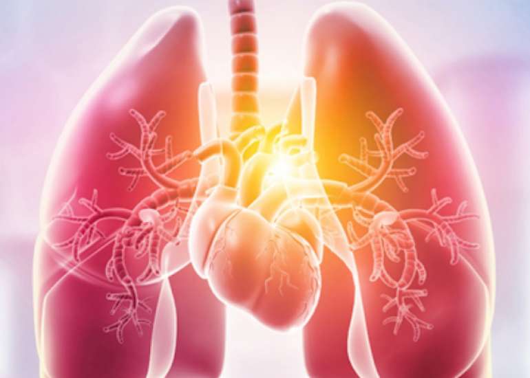 Pulmonary Medicine: Basics