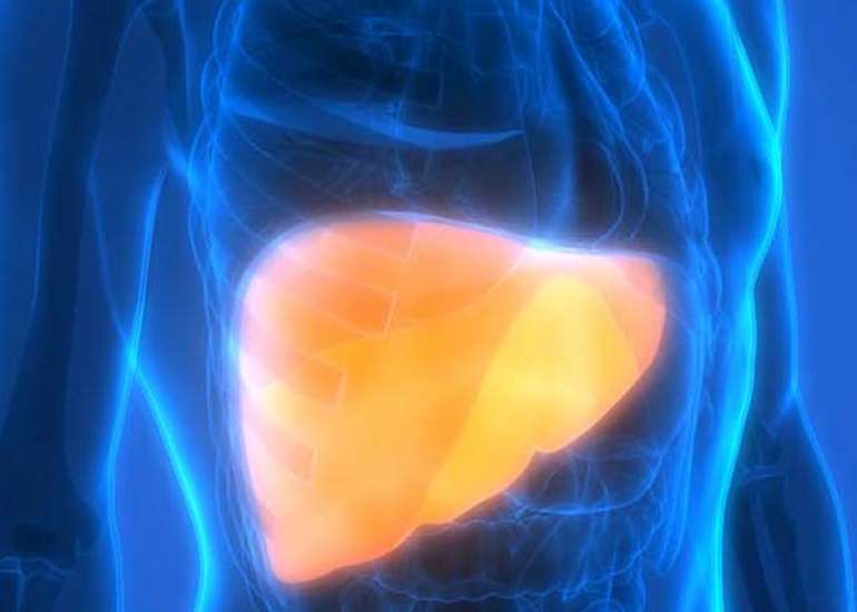 लीवर के स्वास्थ्य को बढ़ावा देने में पोषण की भूमिका | Role of Nutrition in Promoting Liver Health in Hindi