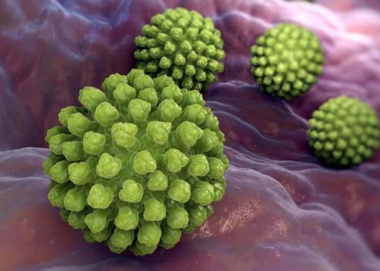 रोटावायरस क्या है? कारण, लक्षण और इलाज |  Rotavirus in Hindi