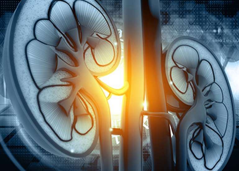 Should all patient of CKD be given iron?