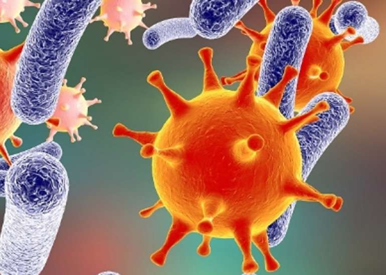 What is the difference between sepsis & septic shock?