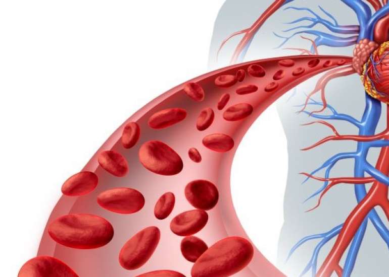 थैलेसीमिया क्या है? कारण, लक्षण, और इलाज | Thalassemia in Hindi
