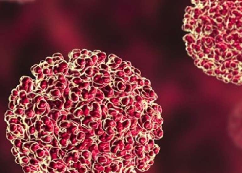 Therapeutic Options For Hepatitis with Special Reference to Hepatitis - B