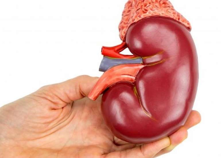 यूरीमिया क्या है? कारण, लक्षण और इलाज | Uremia in Hindi