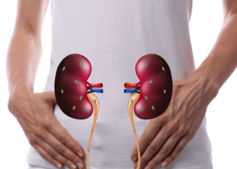 मूत्र पथ संक्रमण के बारे में विस्तार से जाने | UTI in Hindi